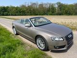 Audi A5 1.8 TFSI multitronic Cabriolet - - Audi A5 aus 2010: Cabrio