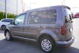 Volkswagen Caddy 1.4 TSI Trendline Bi-Xenon Kamera Tempomat - VW Caddy Gebrauchtwagen in Berlin