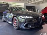 Alfa Romeo Giulia Giulia Quadrifoglio Akrapovic*Tech* - Alfa Romeo Giulia: Limousine