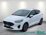 Ford Fiesta 1.0 EcoBoost S&S TITANIUM Winter-Paket - Behindertengerechte Ford Fiesta