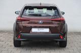 Lexus UX 250h Launch Edition - Lexus UX: Automatik