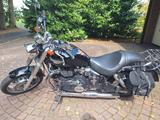 Triumph Speedmaster 908ML - Angebote