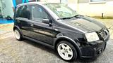 Fiat Panda 100HP Sammlerzustand - Fiat Panda in Herne