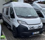 Weinsberg CaraBus 600 ME EDITION [FIRE] Mietwagen Verfügba - Angebote
