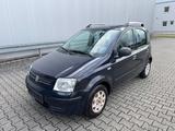 Fiat Panda 1.2 8V Dynamic Klima 74000TKM TÜV NEU - Fiat Panda: Dynamic