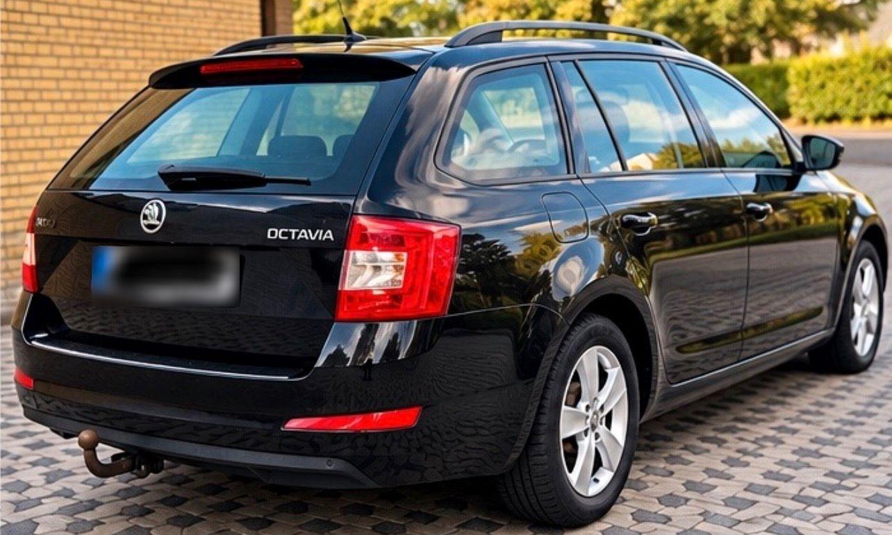 Skoda Octavia 2014 — rear view