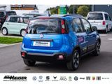 Fiat Panda Pandina Cross Hybrid 1.0 GSE NEUES MODELL  - Fiat: P