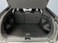 Ford Capri - Vorschau Bild 14