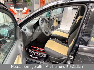 Fahrzeugabbildung Fiat Panda 1.2 Dynamic*2Hd*Klima*Servo*Zahnriemen-Neu