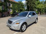 Kia Sorento 2.5 CRDi VGT EX/Automatik/AHK 3.5T/Leder - Kia: 2.5