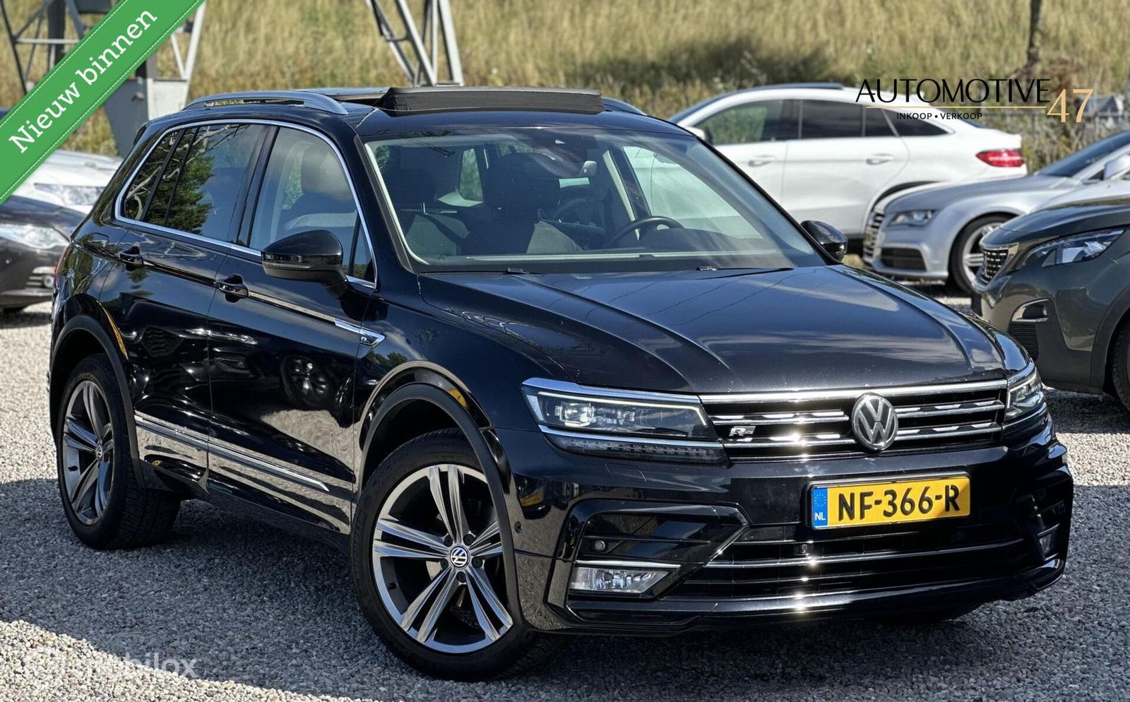 Volkswagen Tiguan - 1