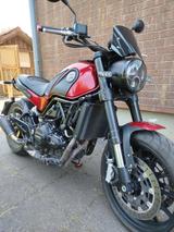 Benelli Leoncino 500 ABS - BENELLI LEONCINO 500