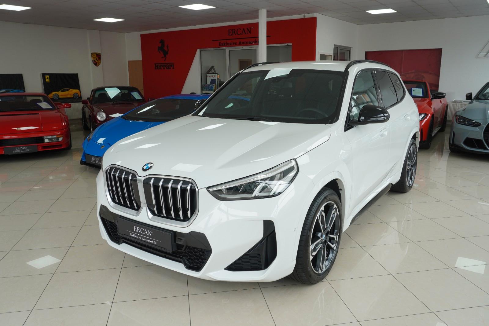 BMW X1 xDrive 23d M Sport / LED / Kamera / AHK