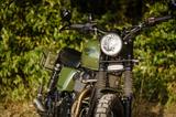 Triumph Scrambler  - TRIUMPH SCRAMBLER