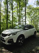 Peugeot 3008 CROSSWAY | 98.000 KM | SCHECKHEFT - Peugeot 3008 Crossway mit Diesel-Antrieb