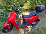 NIU MQi GT (45 km/h) Elektroroller *TOP Zustand* - NIU MQI