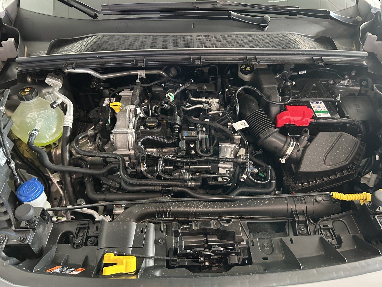 Fahrzeugabbildung Ford Puma ST Line,Panoramadach,FGS
