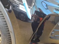 Volkswagen Tiguan - Vorschau Bild 17