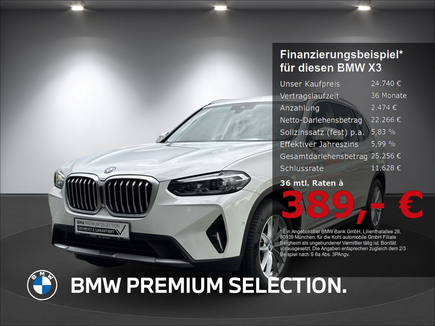 BMW BMW X3 xDrive 30e Driving Assistant HiFi-Lautsprec