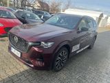 Mazda CX-80 Homura Plus CAHO + 6 Sitzer +LED + Carplay - Mazda: Cx8