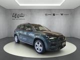Seat Ateca FR  LED Winterpaket PDC hinten Kamera - Seat aus 2023
