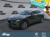Mazda CX-30 Klimaaut.|NAVI|Kamera|PDC|CarPlay|*TZ* - Mazda CX-30 Tageszulassungen