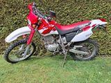 Yamaha TT600R - Offers matching your search criteria