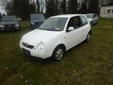 Volkswagen Lupo 1.0 COMFORTLINE,erst104Tkm - weiße Volkswagen Lupo