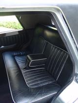 Andere exclusive PANTHER De Ville - Andere: Panther