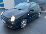Volkswagen VW Lupo 1.0L 50PS 97TKM TÜV06/27 Faltdach,... - Volkswagen Lupo: Faltdach