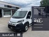 Fiat Ducato Maxi 35 L2H2 AHK RüKa CarPlay LED Allwett