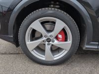 Audi SQ5 - Vorschau Bild 14