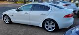 Jaguar XE AWD 1-Hand Garantie Auto. Bi-Xenon Leder - Jaguar XE Gebrauchtwagen