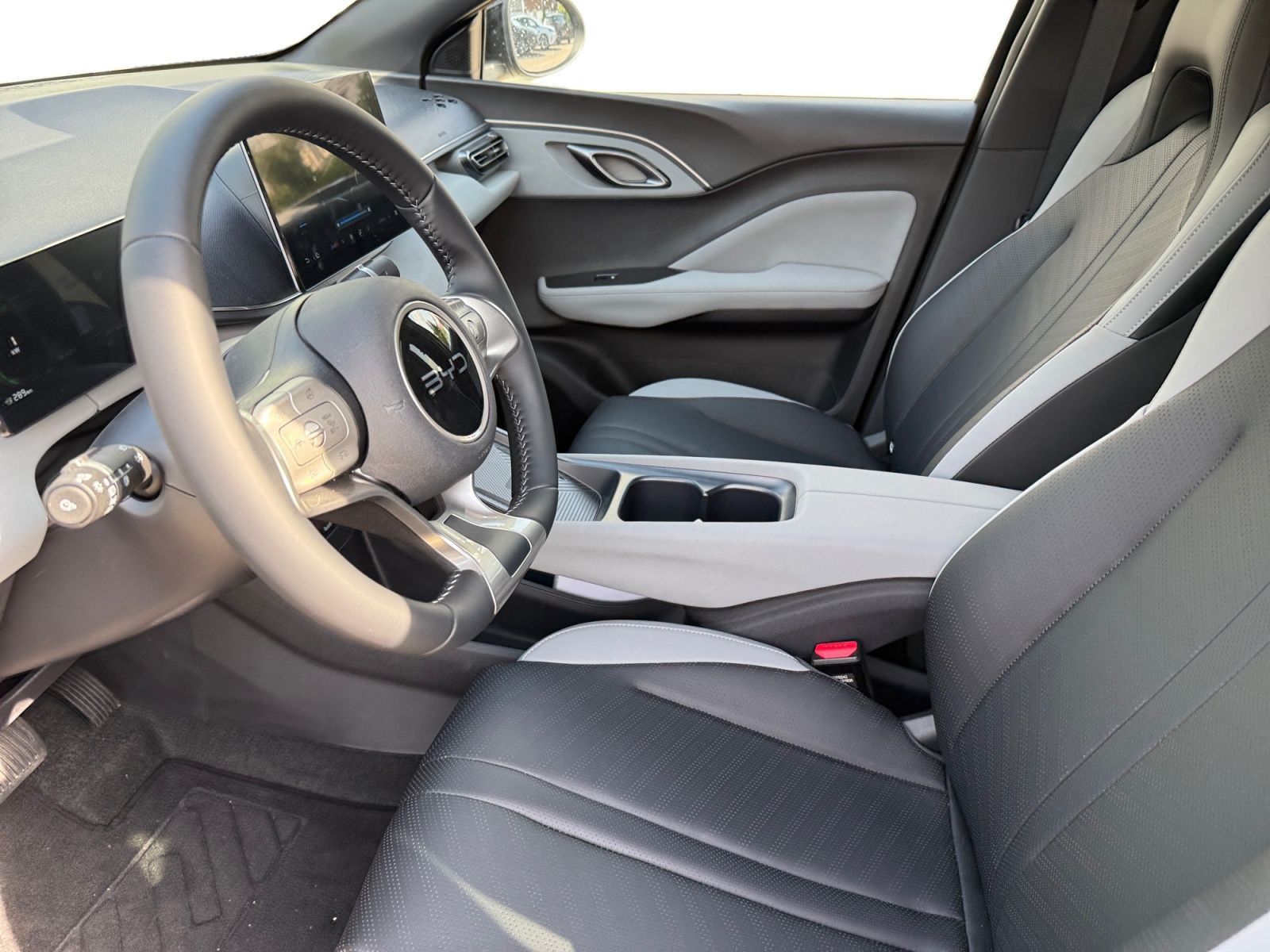 BYD DOLPHIN SURF