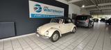 Volkswagen Käfer Cabrio 1200 California Import Rostfrei - Volkswagen Käfer Gebrauchtwagen