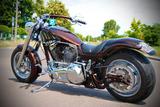 Harley-Davidson Softail
