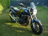 Honda CBF 600, PC 38, ABS, 48 PS oder 78 PS - HONDA 2004 CBF600