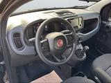 Fiat Panda 1.0 Pandina - gebrauchte Fiat Panda aus dem Jahr 2024