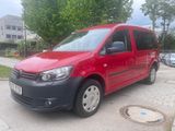 Volkswagen Caddy Maxi Roncalli 4Motion*AUTOMATIK/7-SITZER* - Volkswagen Caddy: Roncalli Maxi