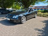 Mercedes-Benz CLK 500 AVANTGARDE Avantgarde - gebrauchte Mercedes-Benz CLK 500 aus dem Jahr 2004