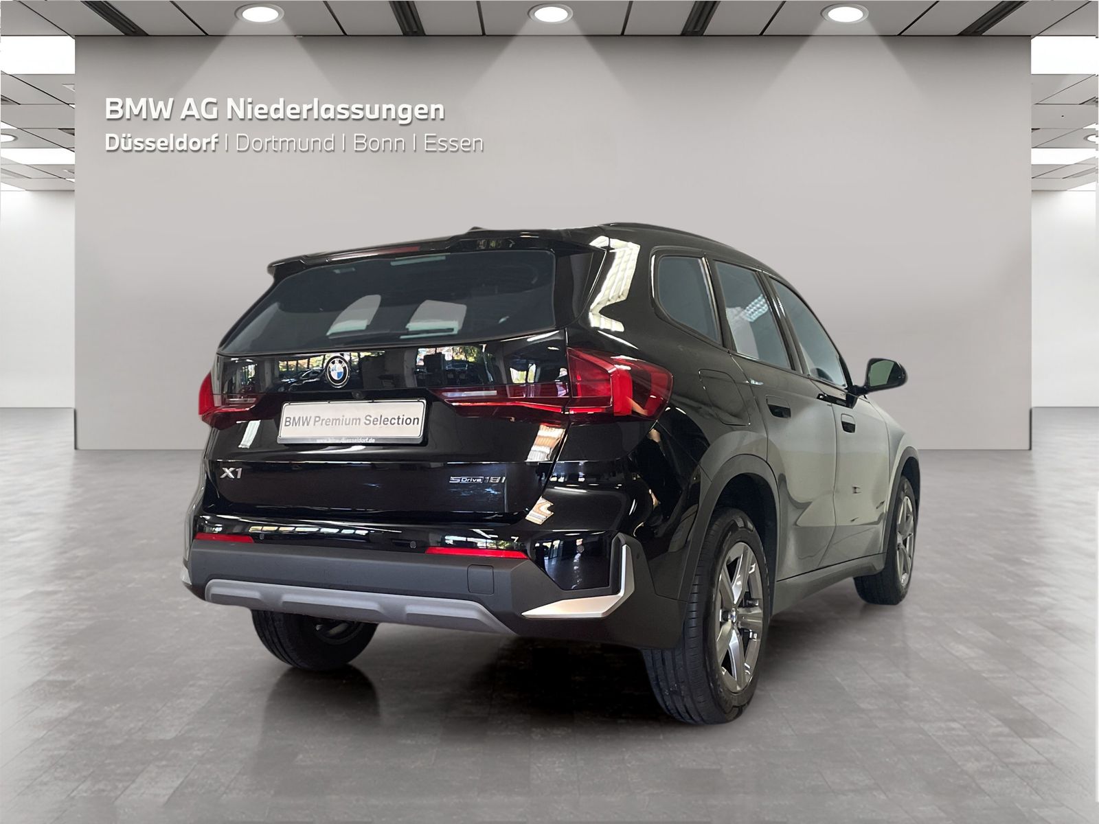 BMW X1 sDrive18i Kamera Sitzheizung foto 2
