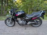 Honda CB500 PC26 A2 Gedrosselt HU TÜV NEU!! - HONDA PC26 500 CB