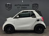 Smart ForTwo Cabrio Passion EQ Light |Navi|Tempomat - Smart ForTwo: Cabrio, Eq