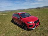 Cupra Ateca 2.0 TSI 300PS 4Drive DSG Velvet-Rot - rote Cupra Ateca