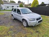 Ford Maverrick - Ford Maverick: Pickup