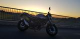 Suzuki SV650x - SUZUKI SV650X
