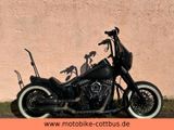 Harley-Davidson FLSTC SOFTAIL HERITAGE *UNIKAT*UMBAU*LIEFERUNG* - HARLEY-DAVIDSON 2007 HERITAGE SOFTAIL