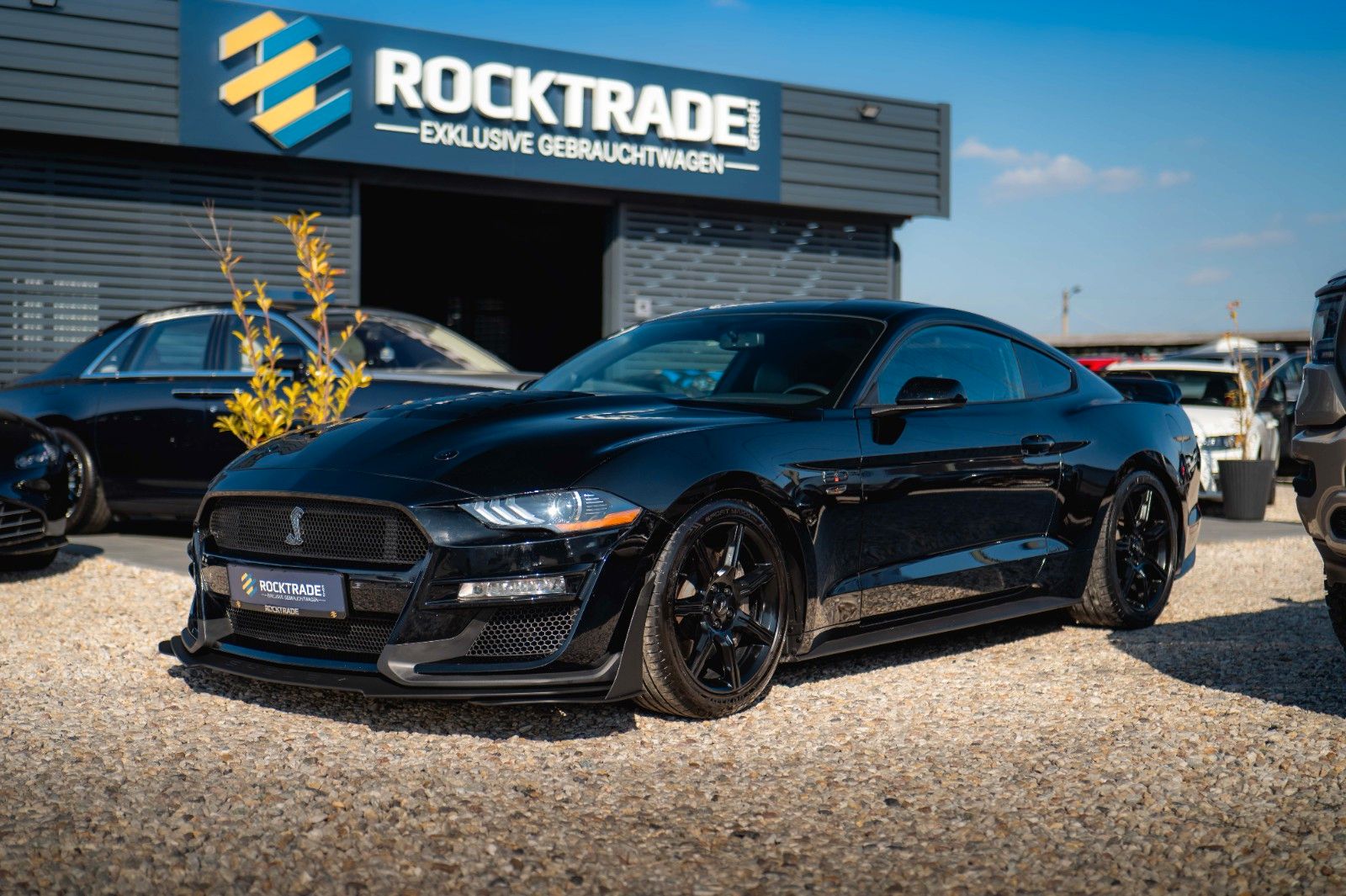 Fahrzeugabbildung Ford Mustang Shelby GT 500 5.0 V8 Performance PREMIUM