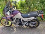 Honda Transalp PD06 - HONDA TRANSALP PD06