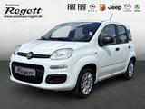 Fiat Panda Easy 1.2 8V EU6d-T*Berganfahrass*Klima*MP3 - gebrauchte Fiat Panda aus dem Jahr 2020